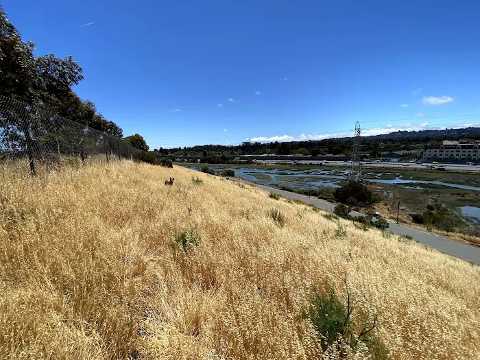 Burlingame Dog Exercise Park 5
