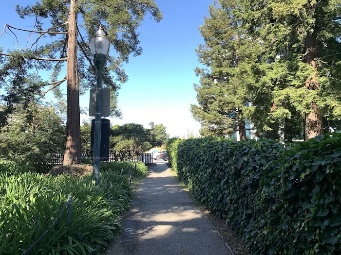 Dog Off-Leash Area 1