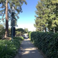 Dog Off-Leash Area ico