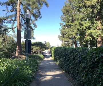 Dog Off-Leash Area