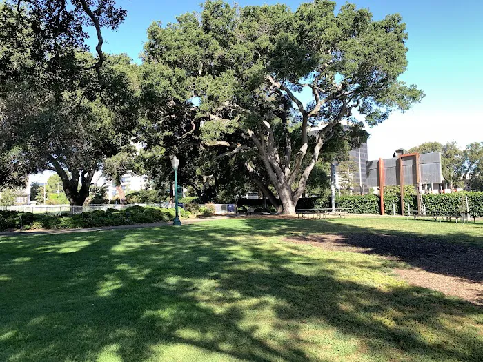Dog Off-Leash Area 4