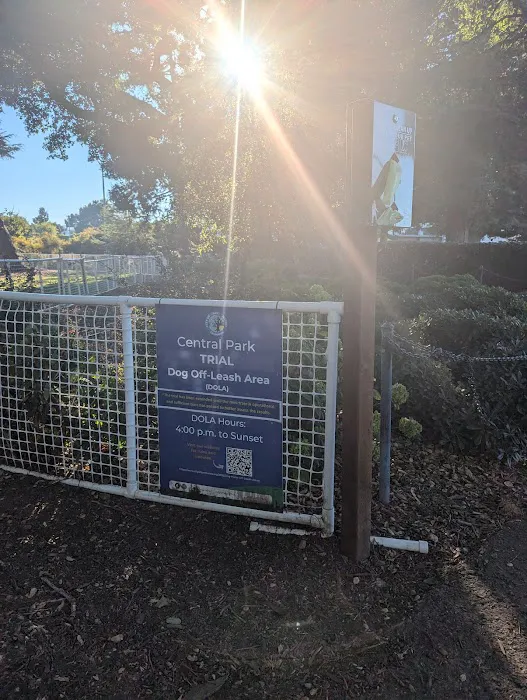 Dog Off-Leash Area 6