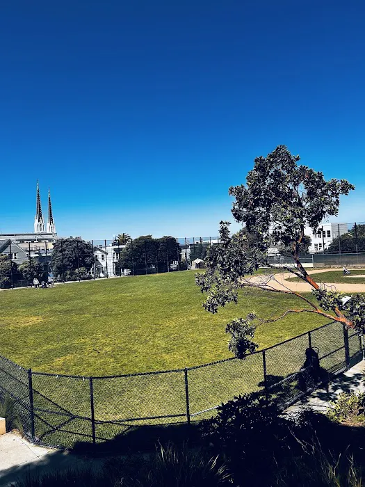 Upper Noe Dog Play Area 3