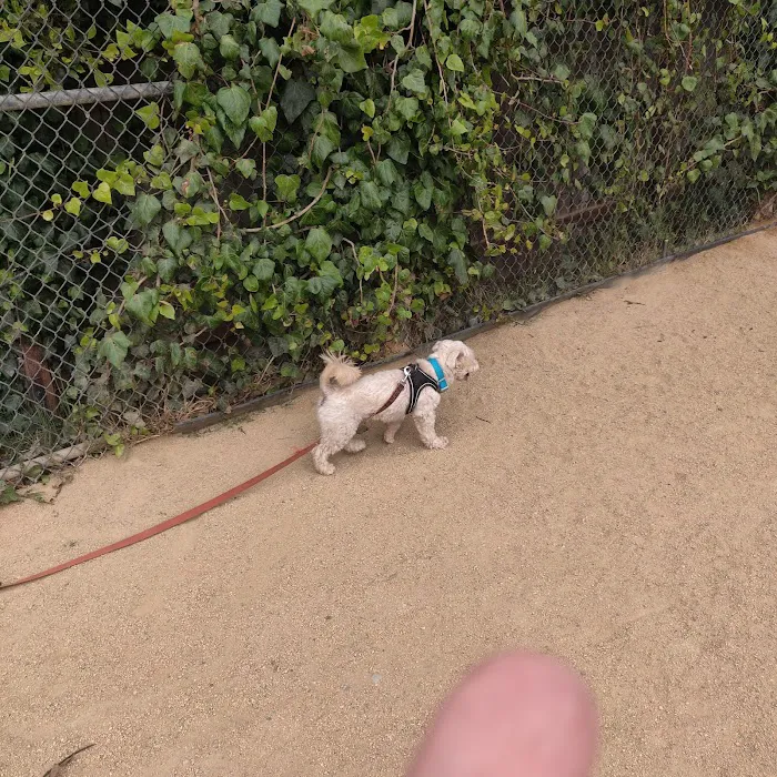 Upper Noe Dog Play Area 10