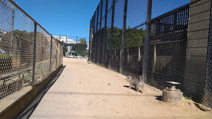 Upper Noe Dog Play Area 6