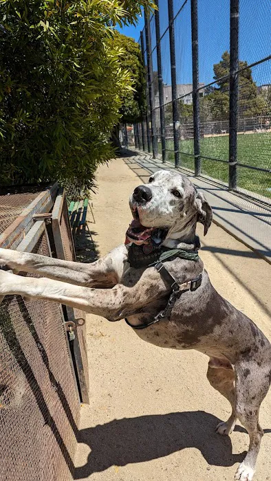 Upper Noe Dog Play Area 1