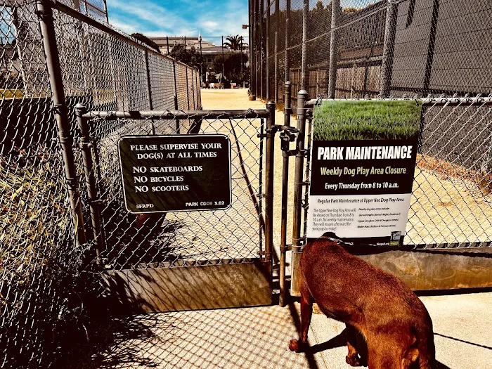 Upper Noe Dog Play Area 4