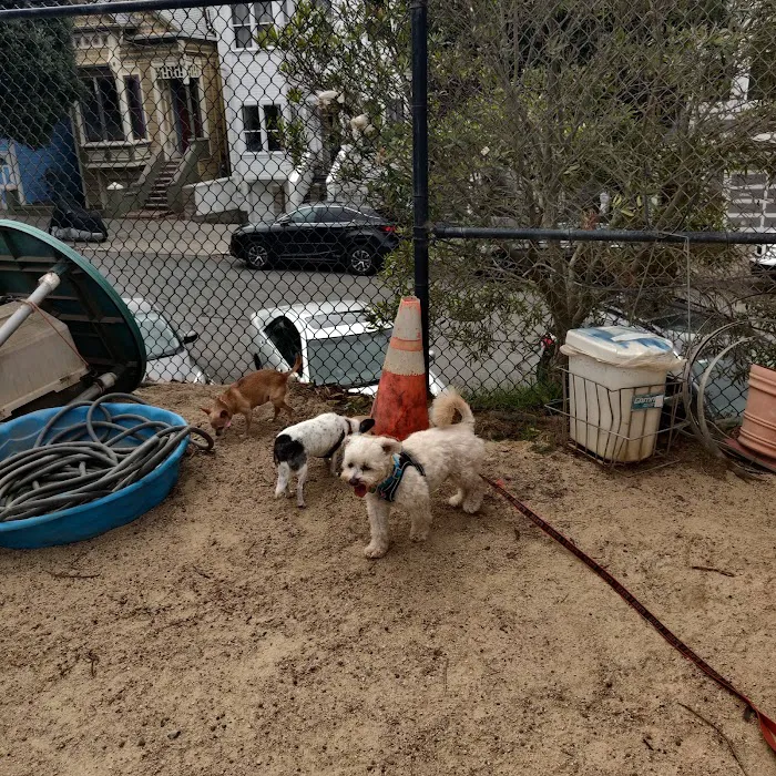 Upper Noe Dog Play Area 7