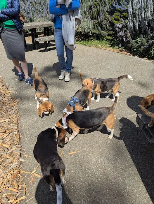 St. Mary's Dog Park 8