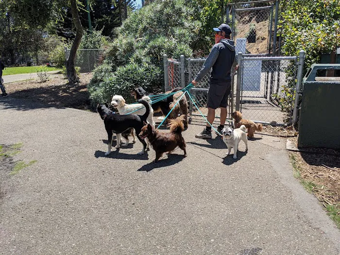 St. Mary's Dog Park 9