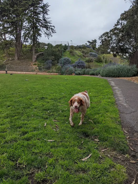 St. Mary's Dog Park 1