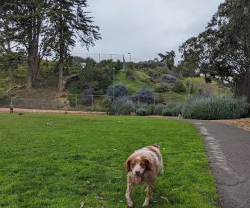 St. Mary's Dog Park