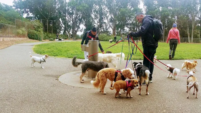 St. Mary's Dog Park 6