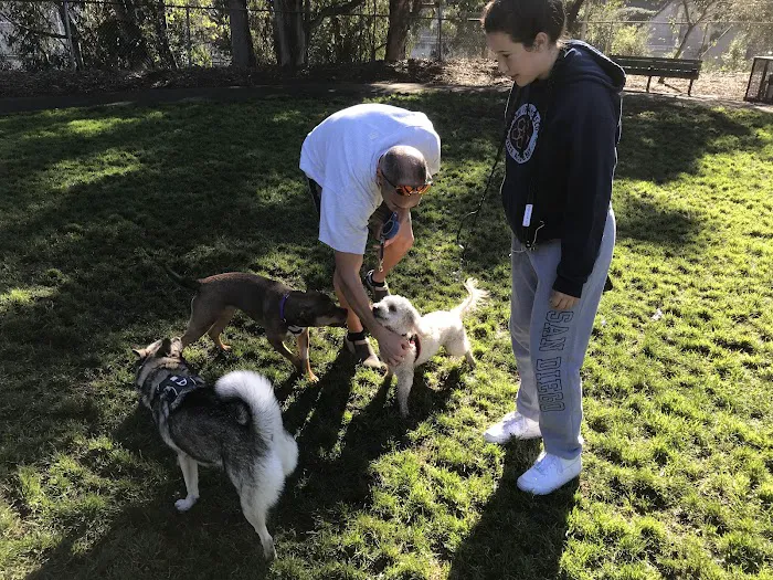 St. Mary's Dog Park 4
