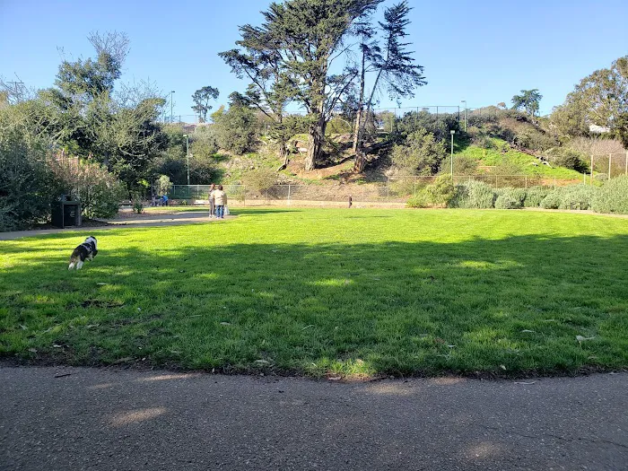 St. Mary's Dog Park 7