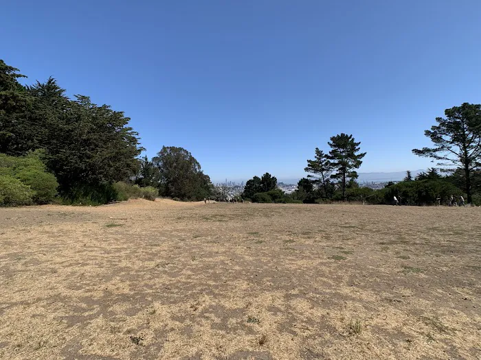 McLaren Park Dog Play Area 2 6