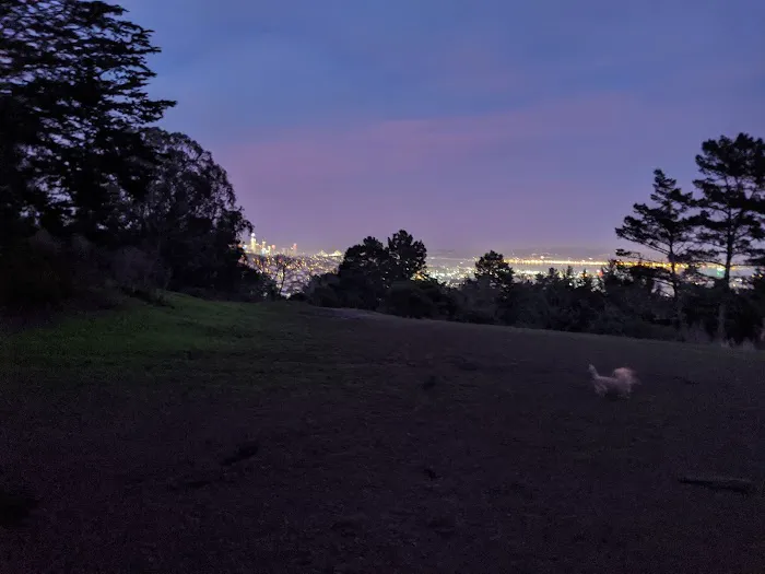 McLaren Park Dog Play Area 2 4