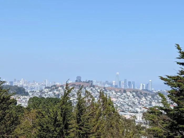 McLaren Park Dog Play Area 2 3