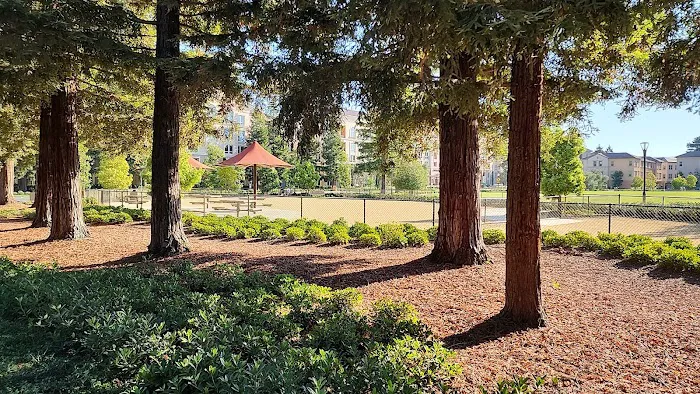 Muwékma Park 8