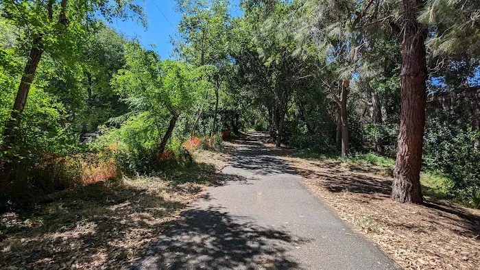 Whisman Dog Park 9