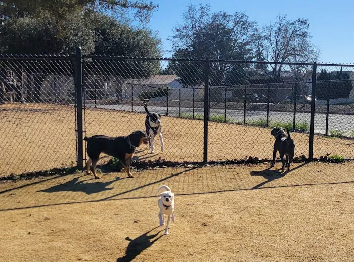 Dog Park | Fair Oaks 4