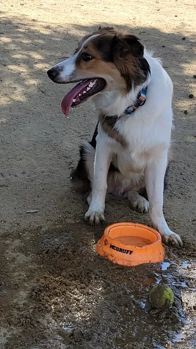Dog Park | Fair Oaks 3
