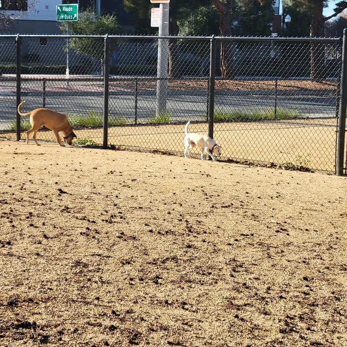 Dog Park | Fair Oaks 5