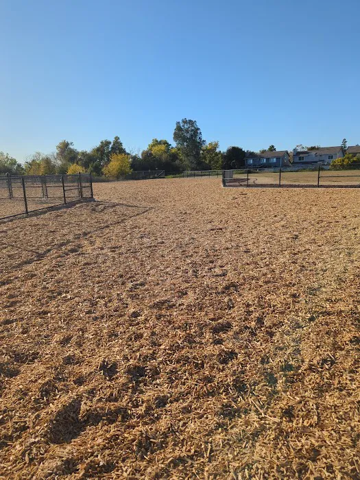 Bruzzone Dog Park 5
