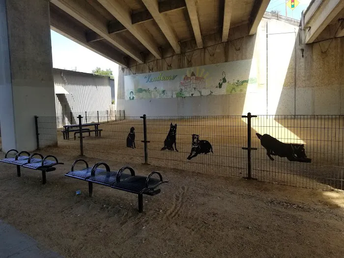 Ryland Dog Park 4