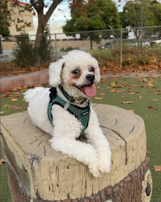 Reed Street Dog Park 2
