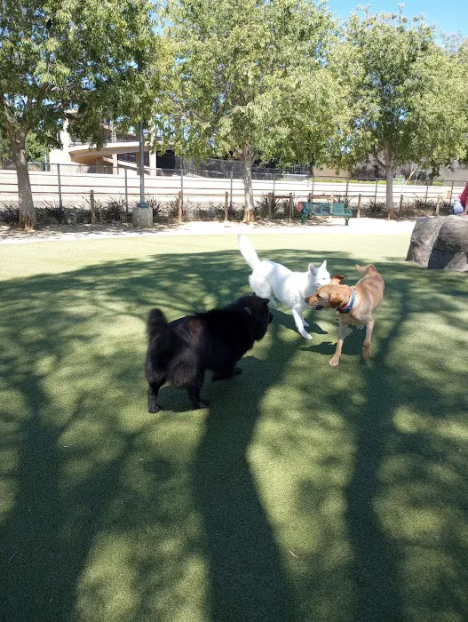 Reed Street Dog Park 3
