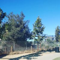Reed Street Dog Park ico