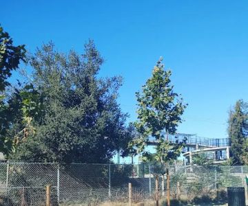 Reed Street Dog Park