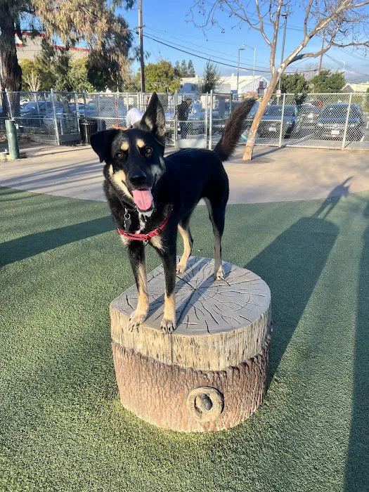 Reed Street Dog Park 9