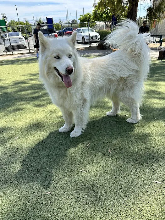 Reed Street Dog Park 8