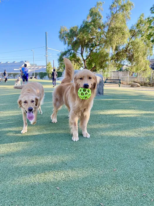 Reed Street Dog Park 7