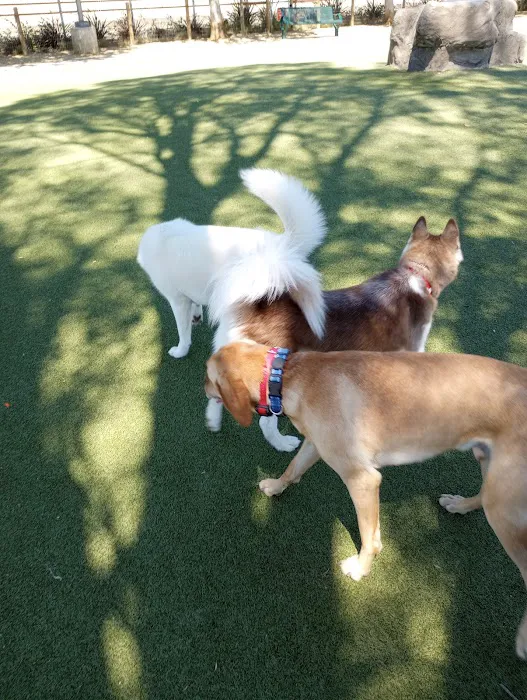 Reed Street Dog Park 10