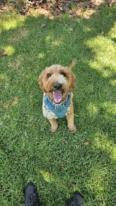 Larry J Marsalli Dog Park 4