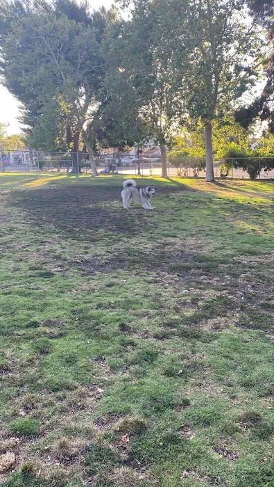 Larry J Marsalli Dog Park 5