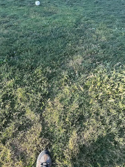 Larry J Marsalli Dog Park 6