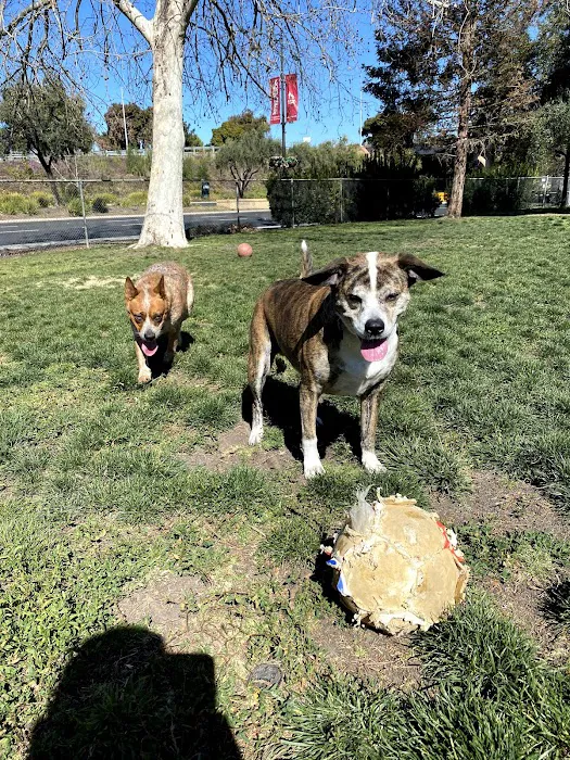 Larry J Marsalli Dog Park 10