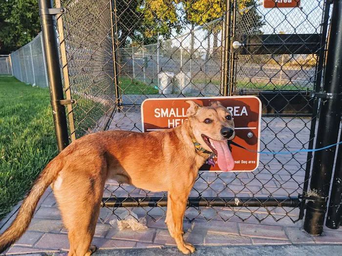 Larry J Marsalli Dog Park 8
