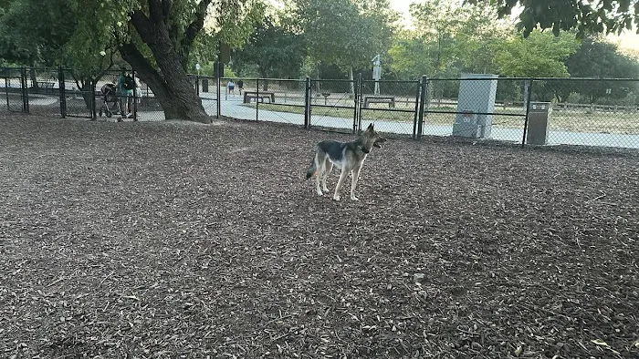 Olinder Dog Park 2