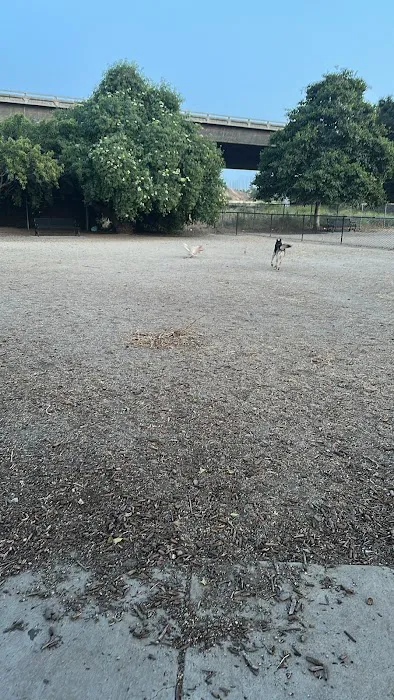 Olinder Dog Park 3