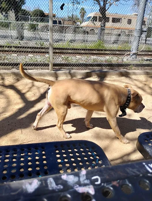 Discovery Dog Park 1