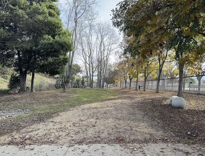 Discovery Dog Park 6