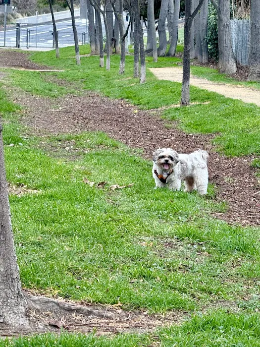 Discovery Dog Park 10