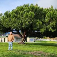 Welch Dog Park ico