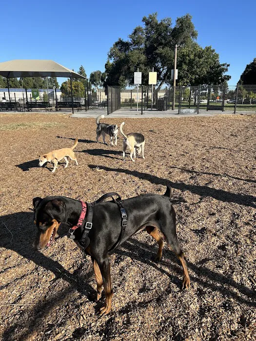 Welch Dog Park 7