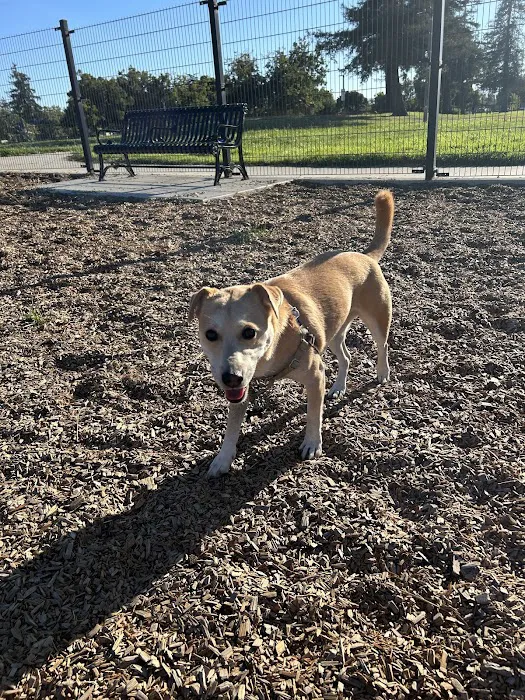 Welch Dog Park 8